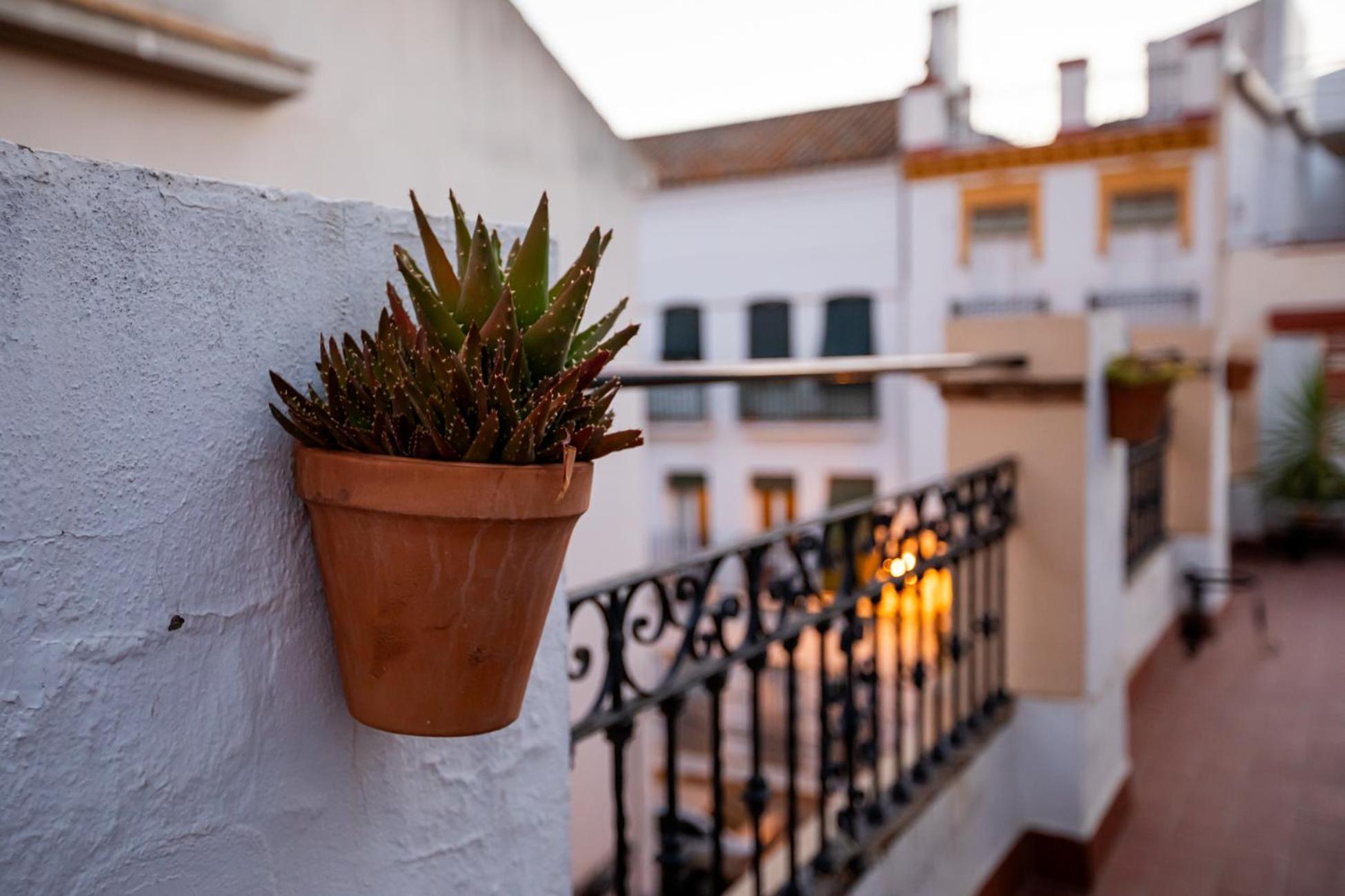 Apartamentos Dona Concha Σεβίλλη Εξωτερικό φωτογραφία